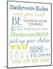 Bathroom Rules (Multi)-Taylor Greene-Mounted Art Print