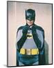 Batman-null-Mounted Photo