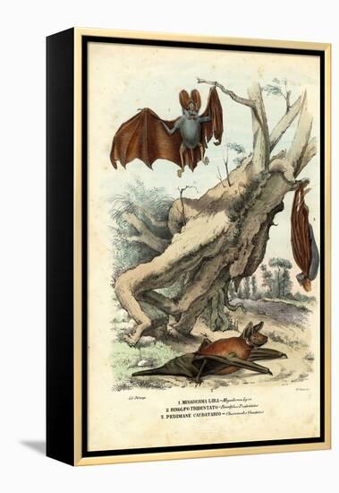 Bats, 1863-79-Raimundo Petraroja-Framed Premier Image Canvas