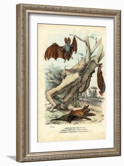 Bats, 1863-79-Raimundo Petraroja-Framed Giclee Print