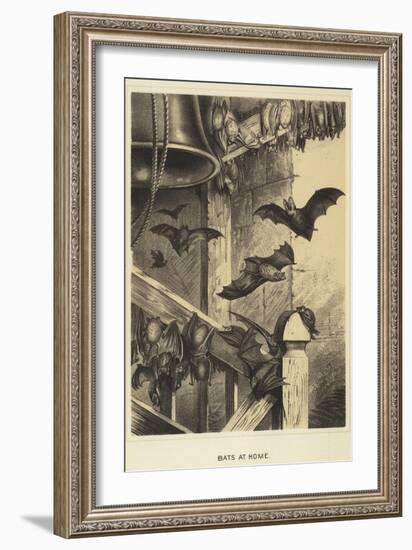 Bats at Home-null-Framed Giclee Print