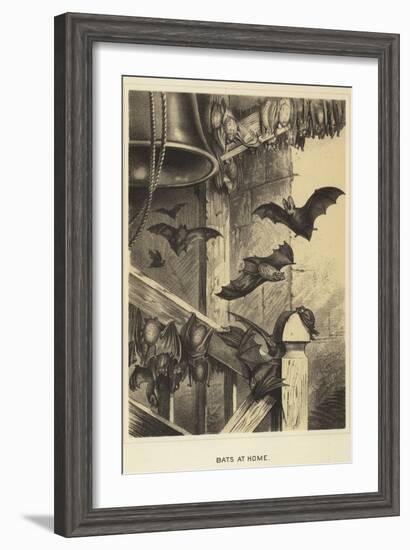 Bats at Home-null-Framed Giclee Print