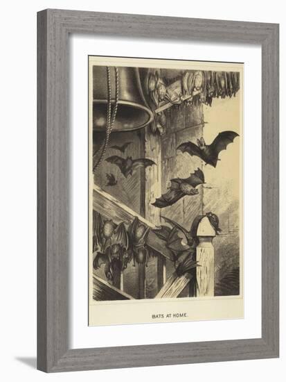 Bats at Home-null-Framed Giclee Print