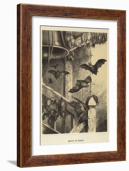 Bats at Home-null-Framed Giclee Print