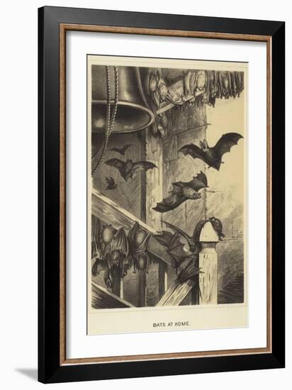 Bats at Home-null-Framed Giclee Print