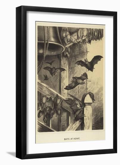 Bats at Home-null-Framed Giclee Print