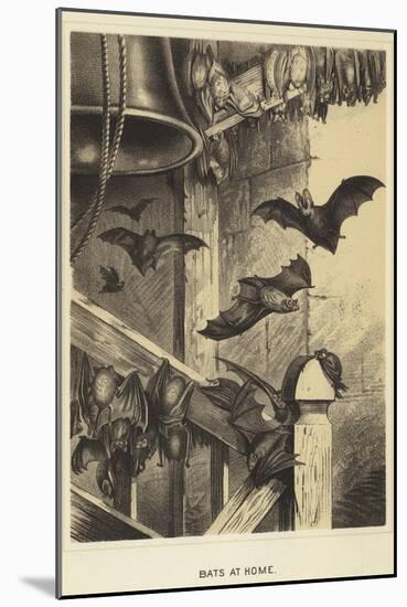 Bats at Home-null-Mounted Giclee Print