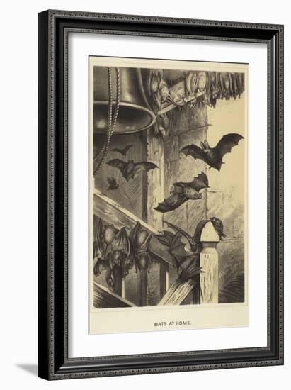 Bats at Home-null-Framed Giclee Print