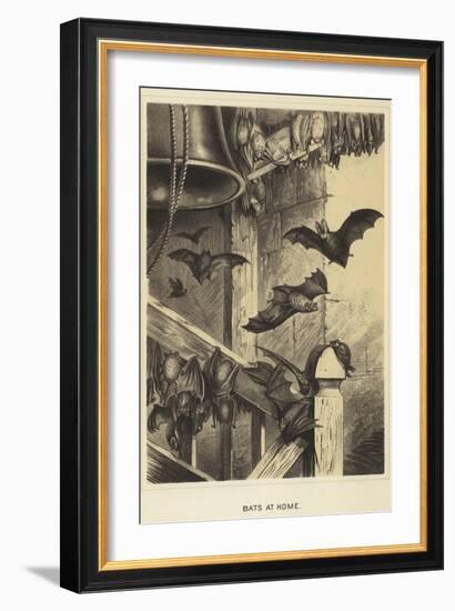 Bats at Home-null-Framed Giclee Print