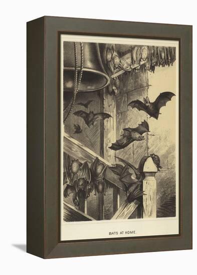 Bats at Home-null-Framed Premier Image Canvas