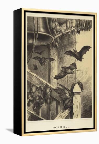 Bats at Home-null-Framed Premier Image Canvas