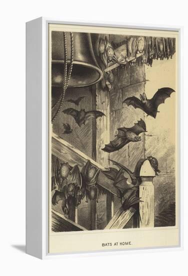 Bats at Home-null-Framed Premier Image Canvas