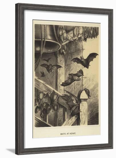 Bats at Home-null-Framed Giclee Print