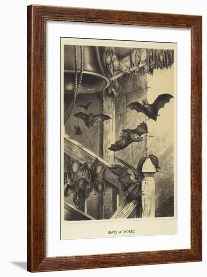 Bats at Home-null-Framed Giclee Print