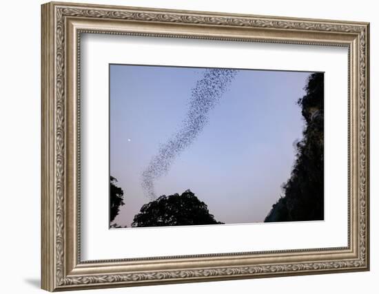 Bats Cave, Battambang, Battambang Province, Cambodia, Indochina, Southeast Asia, Asia-Nathalie Cuvelier-Framed Photographic Print