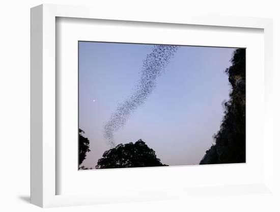 Bats Cave, Battambang, Battambang Province, Cambodia, Indochina, Southeast Asia, Asia-Nathalie Cuvelier-Framed Photographic Print