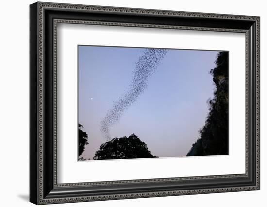 Bats Cave, Battambang, Battambang Province, Cambodia, Indochina, Southeast Asia, Asia-Nathalie Cuvelier-Framed Photographic Print