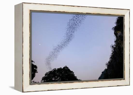 Bats Cave, Battambang, Battambang Province, Cambodia, Indochina, Southeast Asia, Asia-Nathalie Cuvelier-Framed Premier Image Canvas