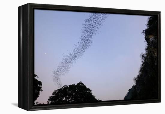 Bats Cave, Battambang, Battambang Province, Cambodia, Indochina, Southeast Asia, Asia-Nathalie Cuvelier-Framed Premier Image Canvas