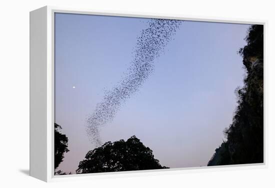 Bats Cave, Battambang, Battambang Province, Cambodia, Indochina, Southeast Asia, Asia-Nathalie Cuvelier-Framed Premier Image Canvas