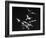 Bats Flying-Nina Leen-Framed Photographic Print