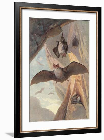 Bats in Cave-null-Framed Art Print