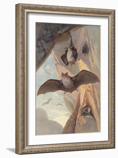 Bats in Cave-null-Framed Art Print