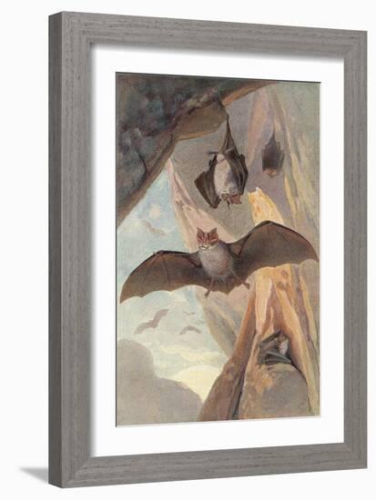 Bats in Cave-null-Framed Art Print