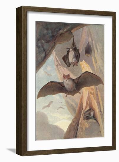 Bats in Cave-null-Framed Art Print