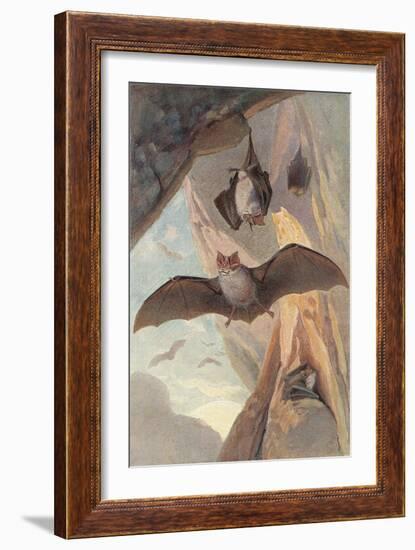 Bats in Cave-null-Framed Art Print