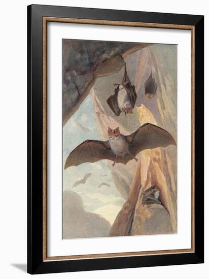 Bats in Cave-null-Framed Art Print