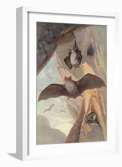 Bats in Cave-null-Framed Art Print
