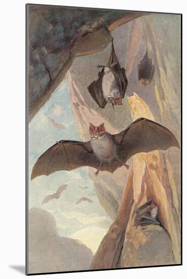 Bats in Cave-null-Mounted Art Print