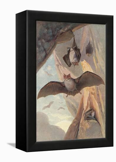 Bats in Cave-null-Framed Stretched Canvas