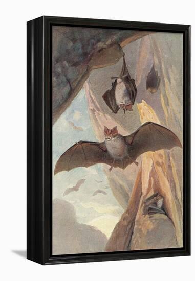 Bats in Cave-null-Framed Stretched Canvas