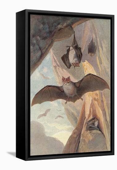 Bats in Cave-null-Framed Stretched Canvas