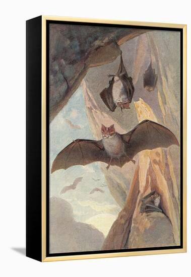 Bats in Cave-null-Framed Stretched Canvas