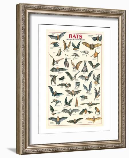 Bats-null-Framed Art Print