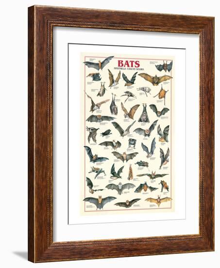 Bats-null-Framed Art Print