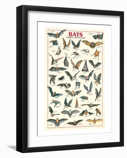 Bats-null-Framed Art Print