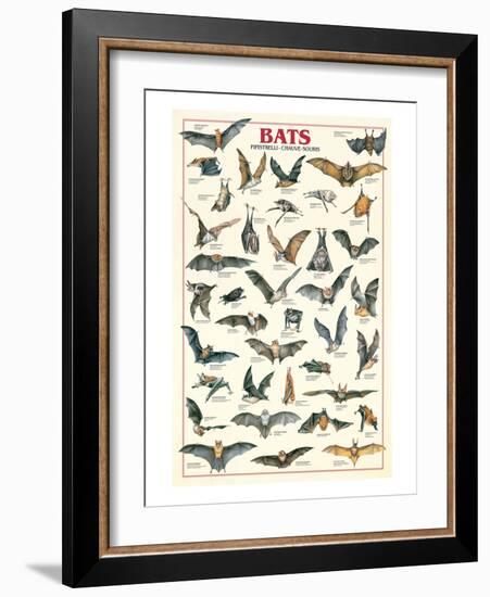 Bats-null-Framed Art Print