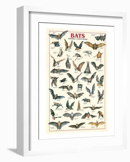 Bats-null-Framed Art Print