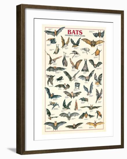 Bats-null-Framed Art Print