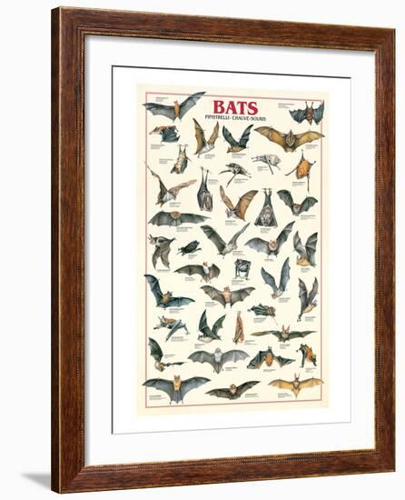 Bats-null-Framed Art Print