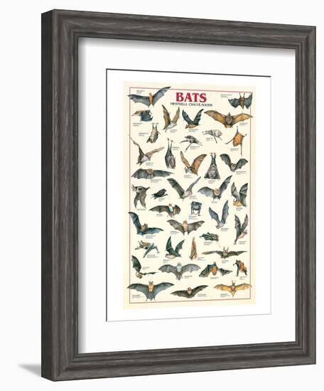 Bats-null-Framed Art Print