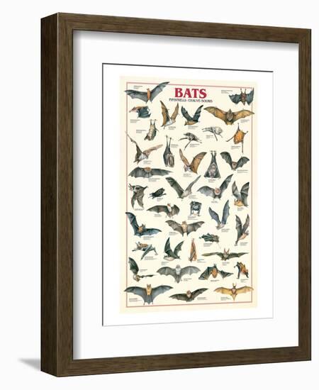 Bats-null-Framed Art Print