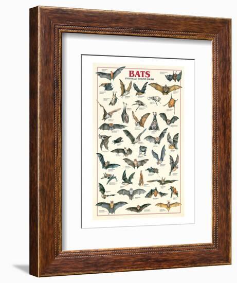 Bats-null-Framed Art Print