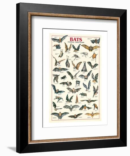 Bats-null-Framed Art Print