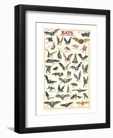 Bats-null-Framed Art Print