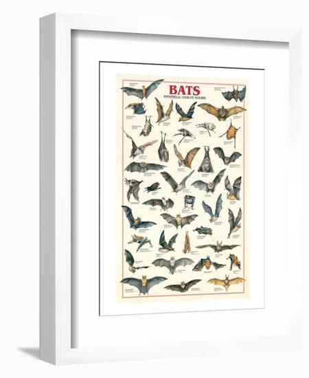 Bats-null-Framed Art Print